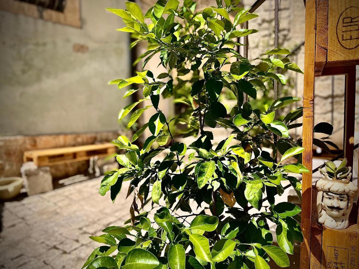 Bed and Breakfast Cuturissi Hospitality & Wellnees Ragusa Exterior foto